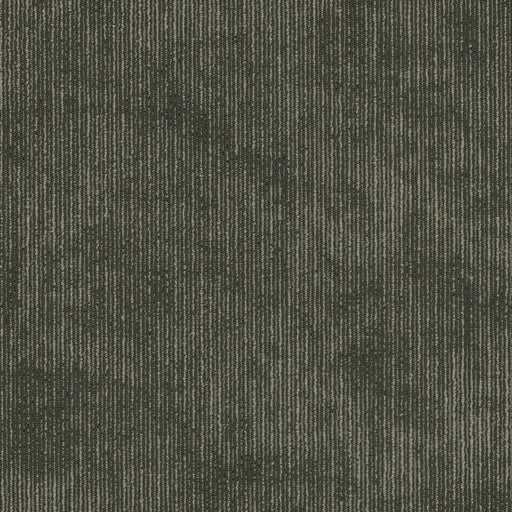 Biotic Nylon Composition 00505 Carpet Tile Textured 2