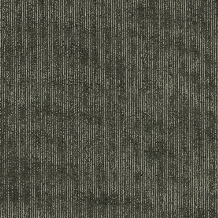 Biotic Nylon Composition 00505 Carpet Tile Textured 2