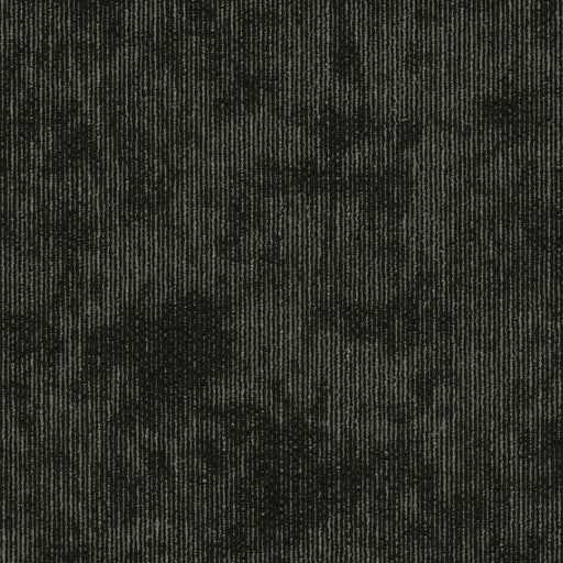 Biotic Nylon Collective 00510 Carpet Tile Textured 2