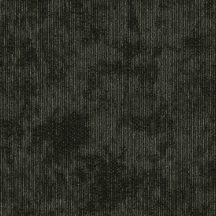 Biotic Nylon Collective 00510 Carpet Tile Textured 2