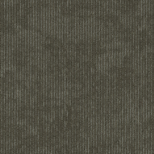 Biotic Nylon Inherent 00515 Carpet Tile Textured 2