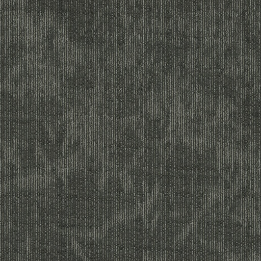 Esthetic Nylon Biomimicry 00500 Carpet Tile Textured 2
