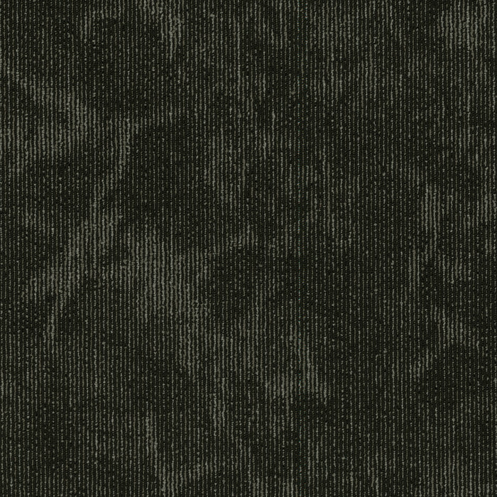 Esthetic Nylon Collective 00510 Carpet Tile Textured 2