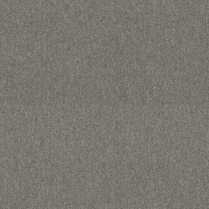 Profusion 20 Plenitude Polyester Carpet - Textured