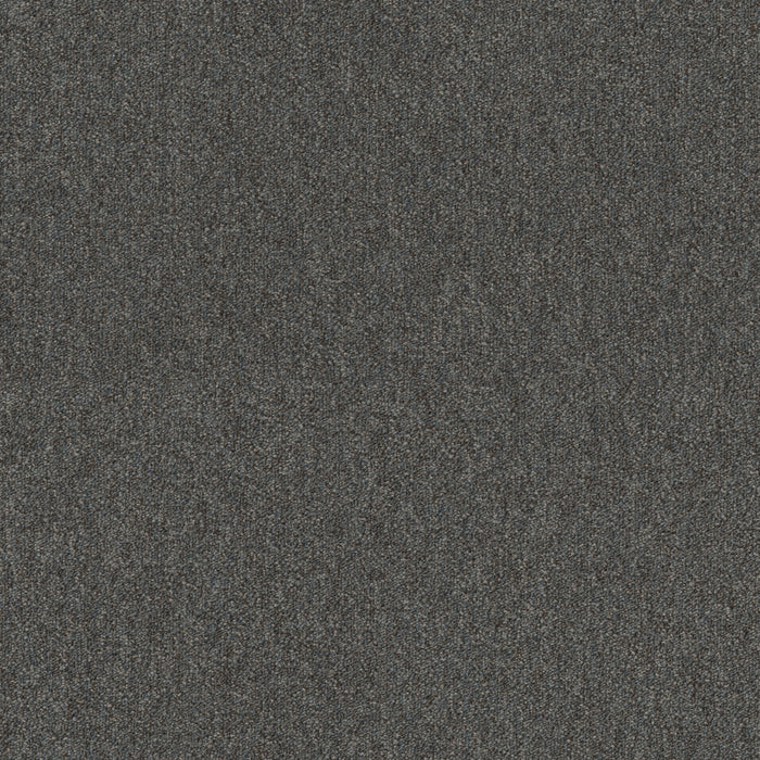 Profusion 20 Oodles Polyester Carpet - Textured