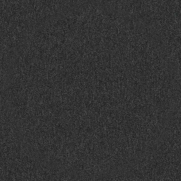 Profusion 20 Plethora Polyester Carpet - Textured
