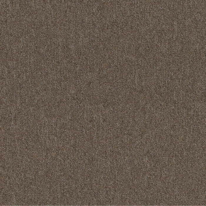 Profusion 20 Heaps Polyester Carpet - Textured