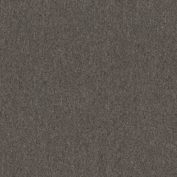 Profusion 20 Piles Polyester Carpet - Textured