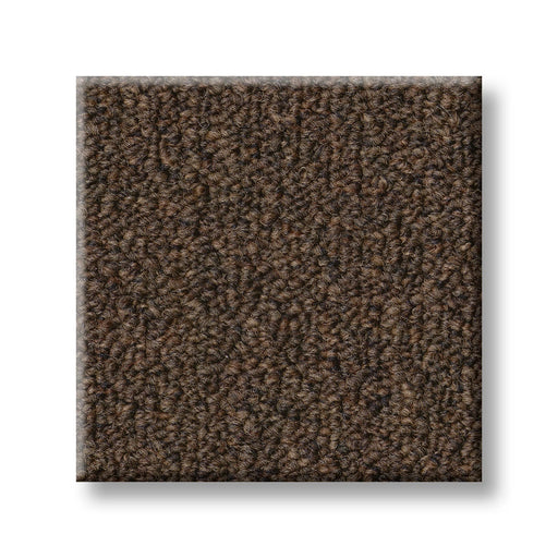 Profusion 20 Overflow Polyester Carpet - Textured