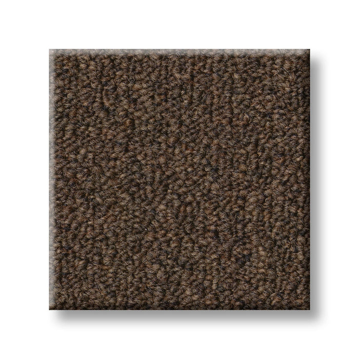 Profusion 20 Overflow Polyester Carpet - Textured