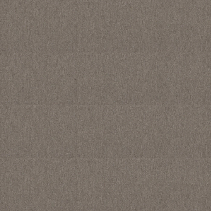 Profusion Masses Polyester Carpet - Textured