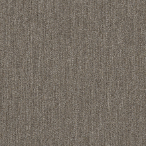 Beyond Limits Polyester Prairie 00200 Carpet Tile Textured 2