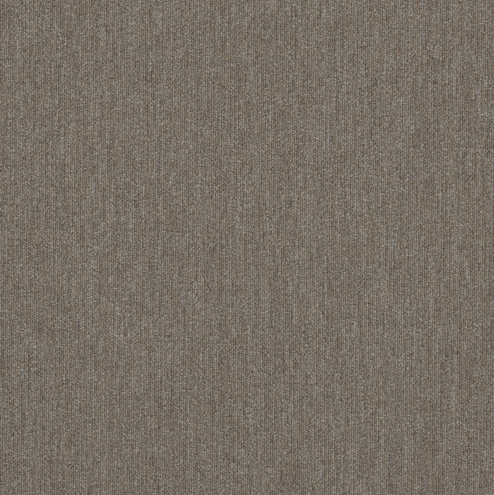 Beyond Limits Polyester Prairie 00200 Carpet Tile Textured 2