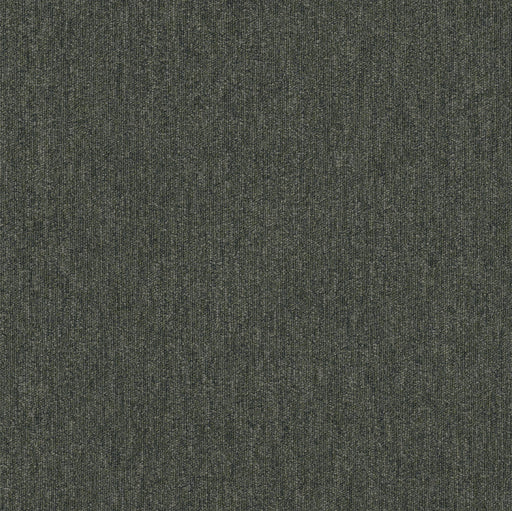 Beyond Limits Polyester Flora 00300 Carpet Tile Textured 2