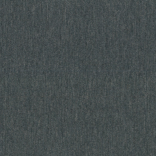 Beyond Limits Polyester Territory 00410 Carpet Tile Textured 2