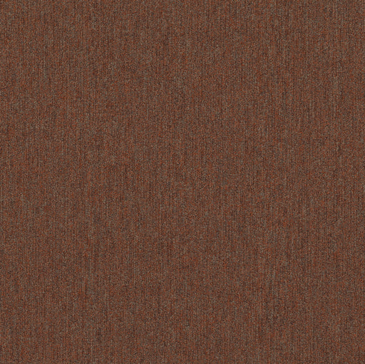 Beyond Limits Polyester Terra 00600 Carpet Tile Textured 2
