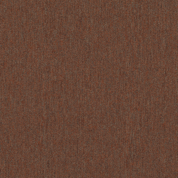 Beyond Limits Polyester Terra 00600 Carpet Tile Textured 2