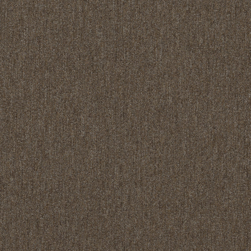 Beyond Limits Polyester Fauna 00700 Carpet Tile Textured 2