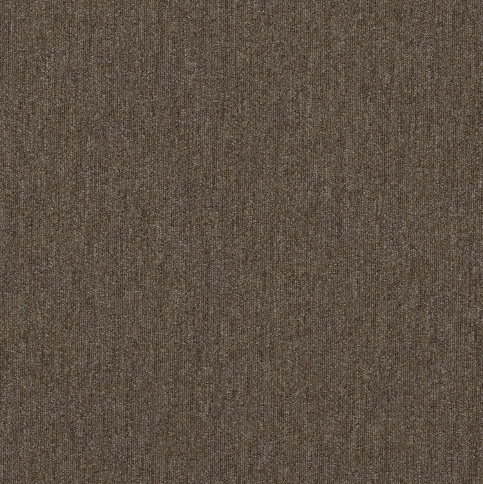 Beyond Limits Polyester Fauna 00700 Carpet Tile Textured 2