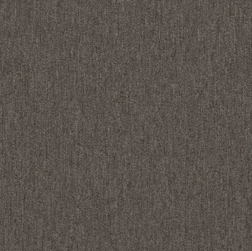 Beyond Limits Polyester Desert 00702 Carpet Tile Textured 2