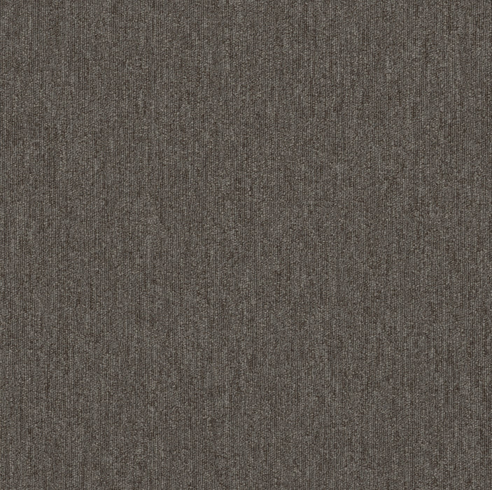 Beyond Limits Polyester Desert 00702 Carpet Tile Textured 2