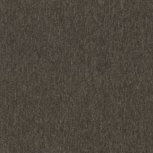 Beyond Limits Polyester Elevation 00715 Carpet Tile Textured 2