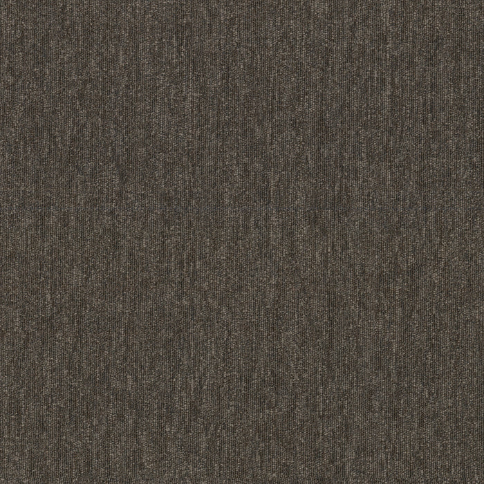 Beyond Limits Polyester Elevation 00715 Carpet Tile Textured 2