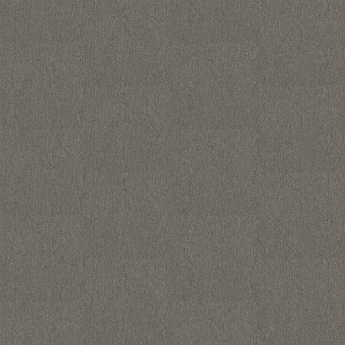 Profusion 26 Plenitude Polyester Carpet - Textured