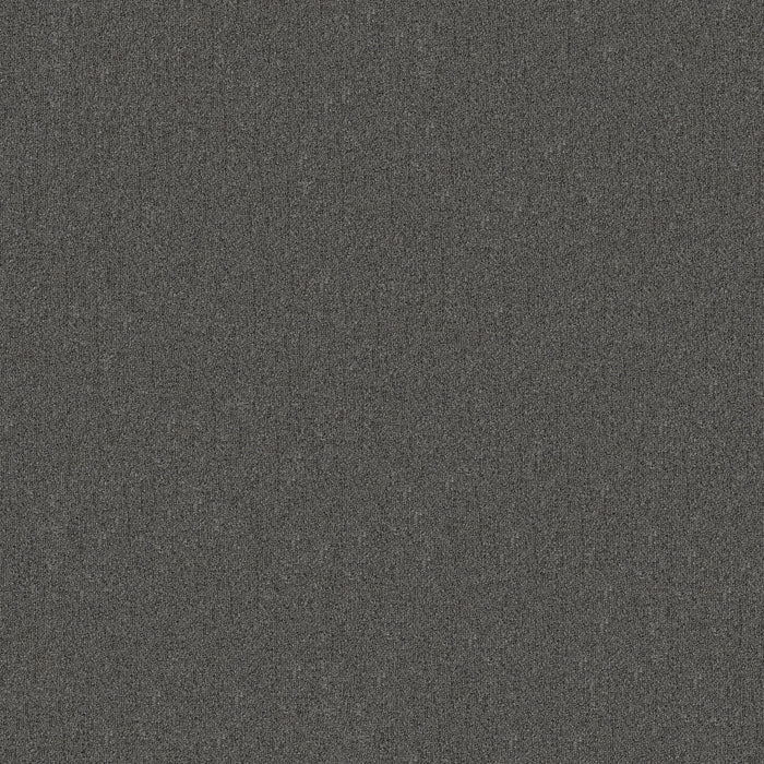 Broad Street BL Polyester Pewter 00500 Carpet Textured 2
