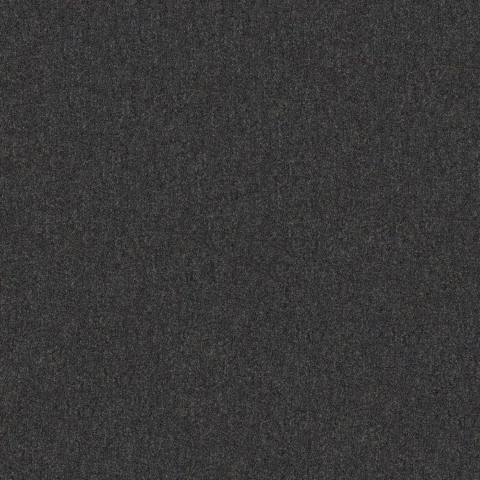 Broad Street BL Polyester Carbonite 00508 Carpet Textured 1