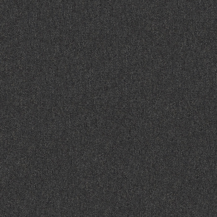 Broad Street BL Polyester Carbonite 00508 Carpet Textured 2
