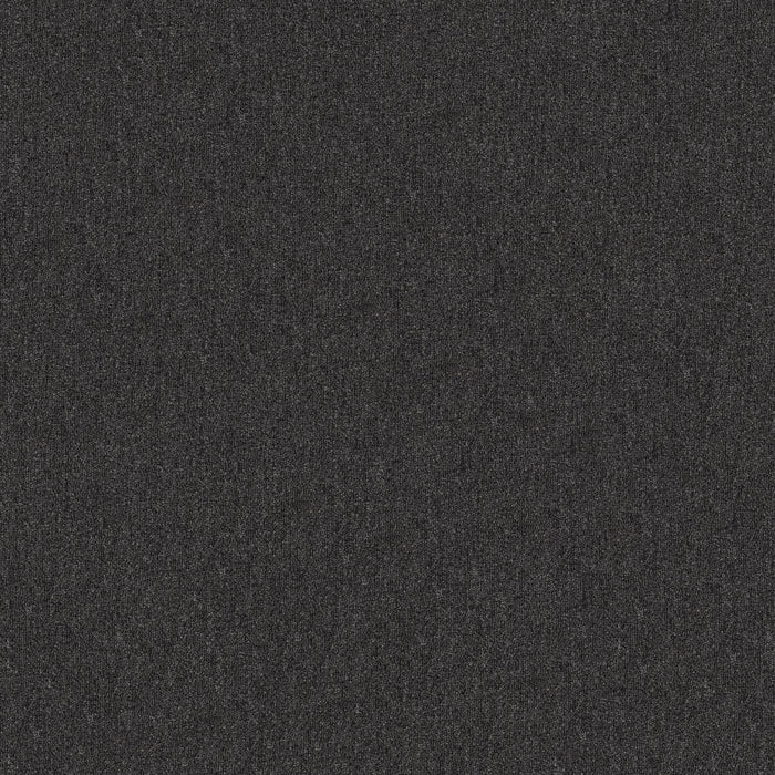 Broad Street BL Polyester Industrial 00516 Carpet Textured 1