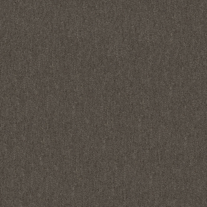 Broad Street BL Polyester Cobblestone 00704 Carpet Textured 2