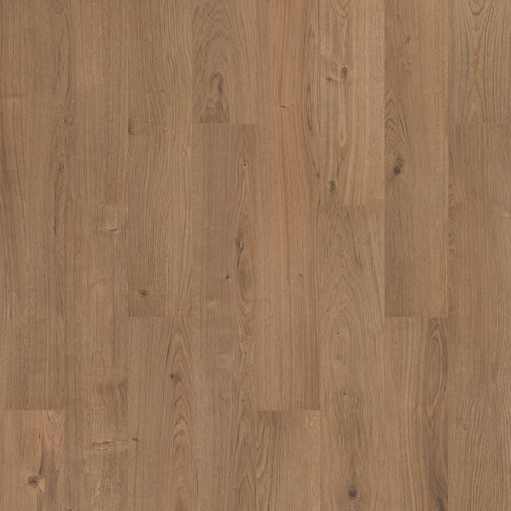 Ashland Crest Fern 842