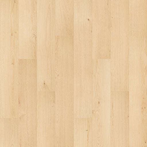 Ashland Crest Magnolia 201