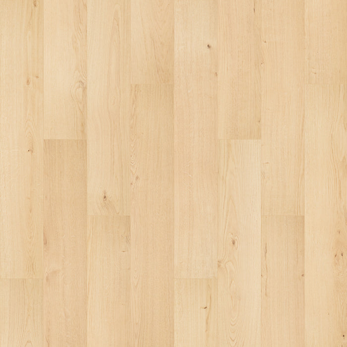 Ashland Crest Magnolia 201