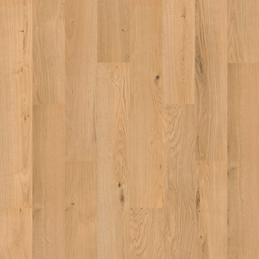 Ashland Crest Marigold 567