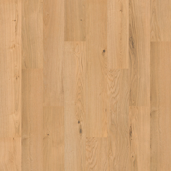 Ashland Crest Marigold 567