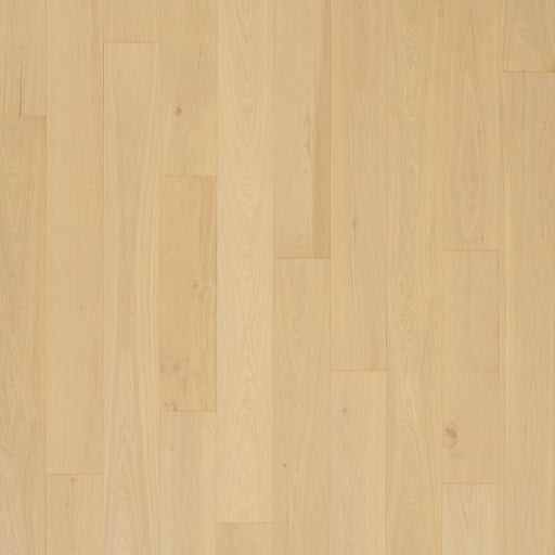 Madera Trace Antiqued Plaster Oak 137
