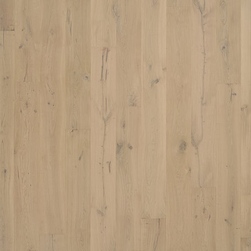 Madera Trace Topeka Taupe Oak 859