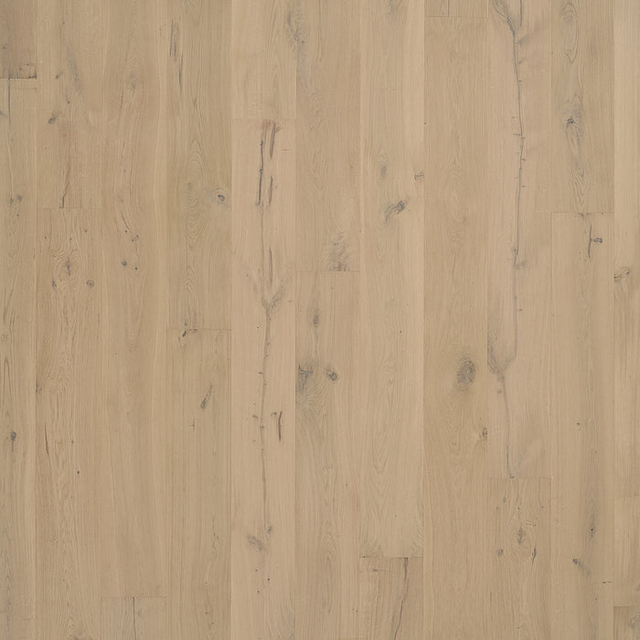 Madera Trace Topeka Taupe Oak 859