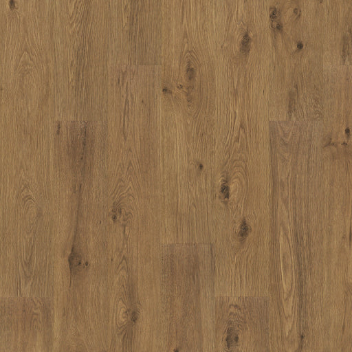 Woodland Resort Brown Bark Oak 862