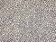 Maddox Cheetah Remix Wool Blend Domino 63726 Carpet Pattern 1