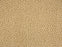 Maddox Cheetah Remix Wool Blend Honey Wheat 63724 Carpet Pattern 1