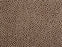 Maddox Cheetah Remix Wool Blend Java 63725 Carpet Pattern 1