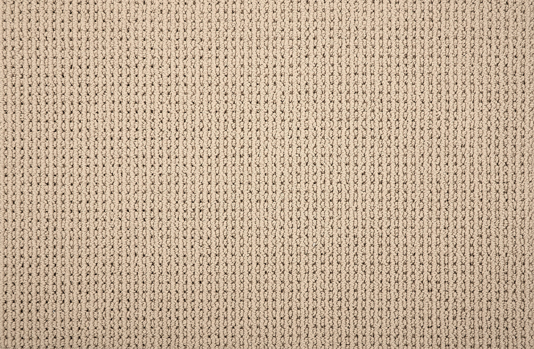 Malory Polyester Sand 54364 Carpet Pattern 1