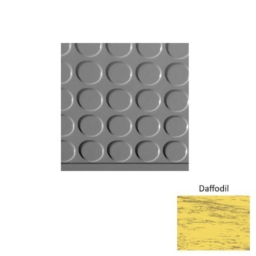 Daffodil M692