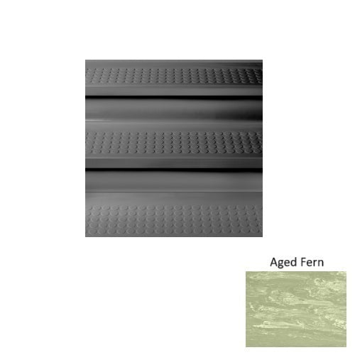Aged Fern M663