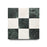 Full Tile Sample - Marble Piazza in Carrara & Verde Alpi Marble Tile - 12" x 12" x 3/8" Honed