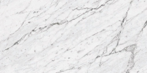 Marbles Carrara White Porcelain Tile - Polished